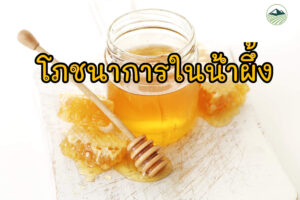 โภชนาการน้ำผึ้ง